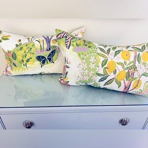 Citrus Garden Lime Down Pillow NEW! 14X24 inches left one available!
